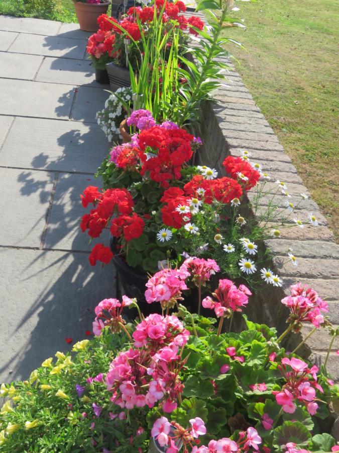 Little Orchard Apartment Yate Bagian luar foto