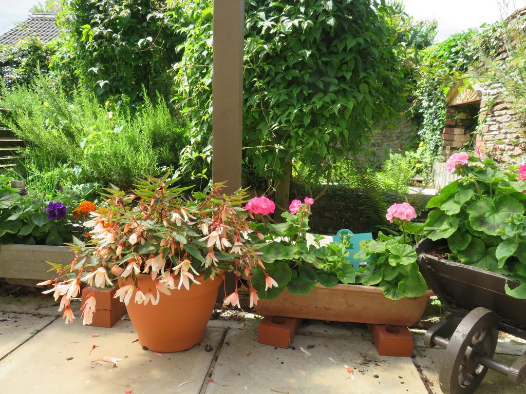 Little Orchard Apartment Yate Bagian luar foto